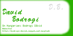 david bodrogi business card